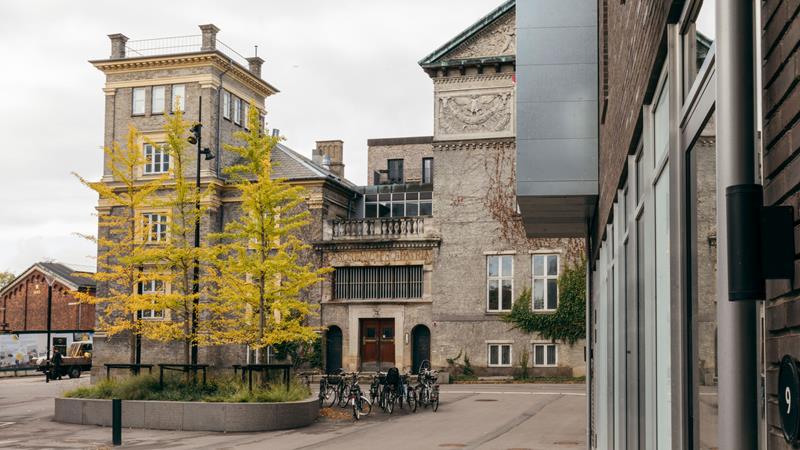 Det Grå Hus Bag Elefanterne